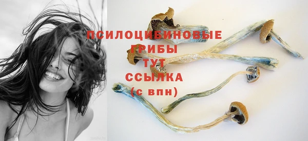хмурый Волосово