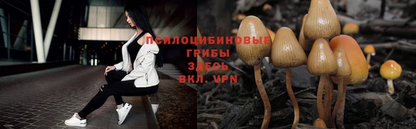 ПСИЛОЦИБИНОВЫЕ ГРИБЫ Верхний Тагил