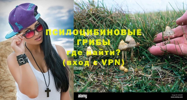 каннабис Верея
