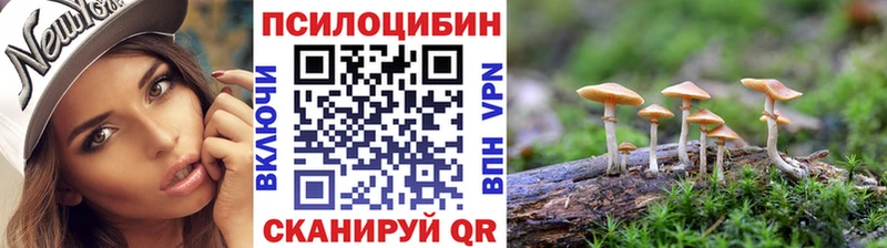 Псилоцибиновые грибы Psilocybine cubensis  купить наркотик  Заволжье 